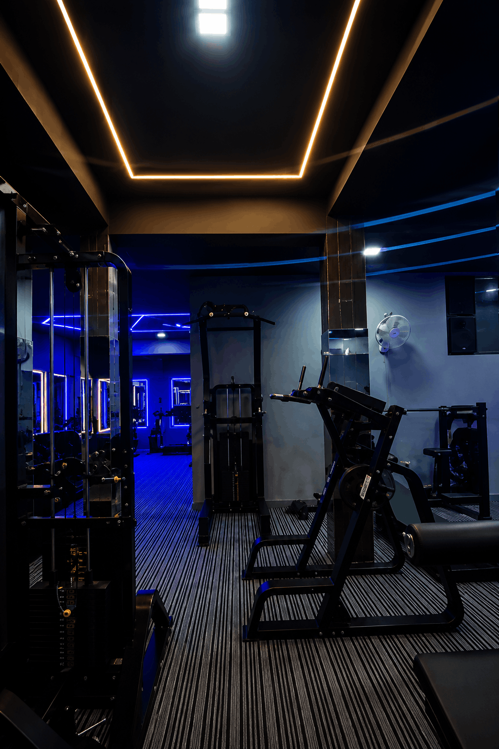 Training session at Everytime Fitness New Delhi